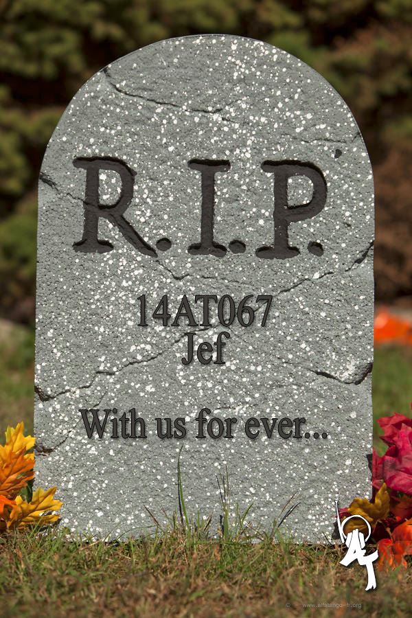 R.I.P_014AT067_Jef.jpg